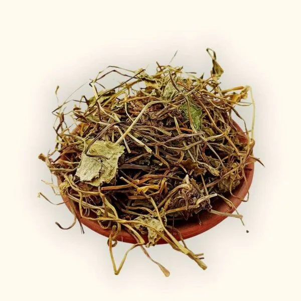 Brahmi (Herb of Grace) | 50g-1kg
